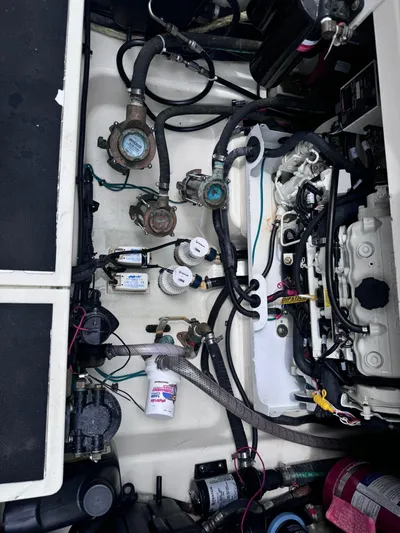 Bg Yacht Photos Pics 