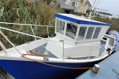 2000 Custom viskotter
