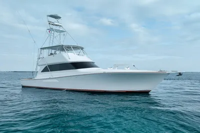 Viking 65