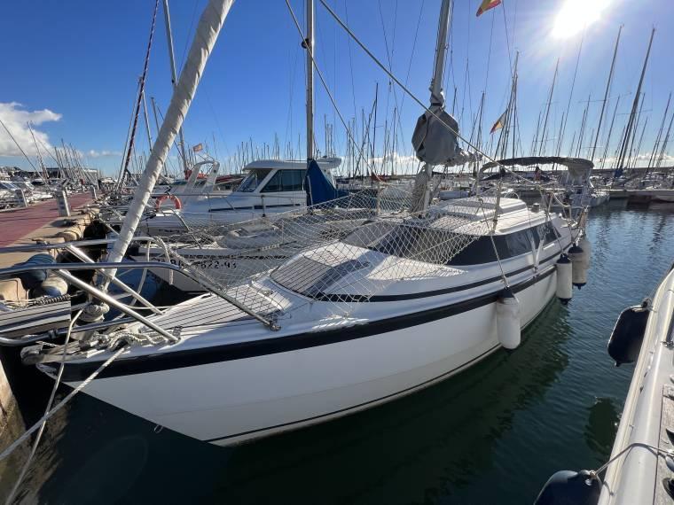 segelboot macgregor 26 kaufen