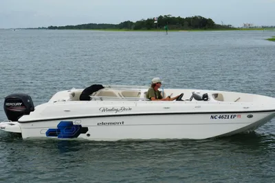 Bayliner Element F21