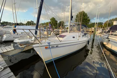 Catalina 310