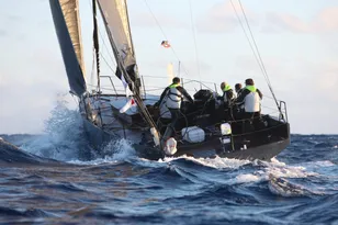 2027 Black Pepper CODE 1