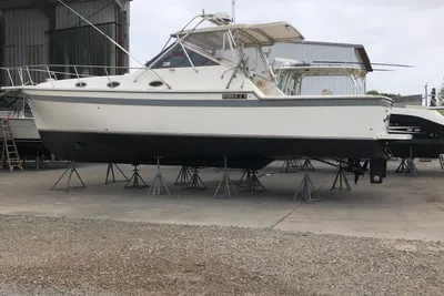 Luhrs Alura