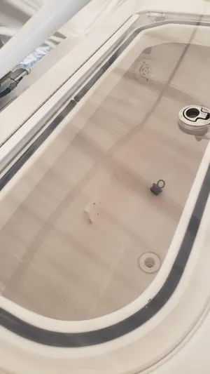  Yacht Photos Pics Livewell compartment on a 2017 Invincible 33 Open Fisherman boat.