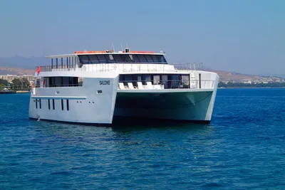 2015 Custom Catamaran