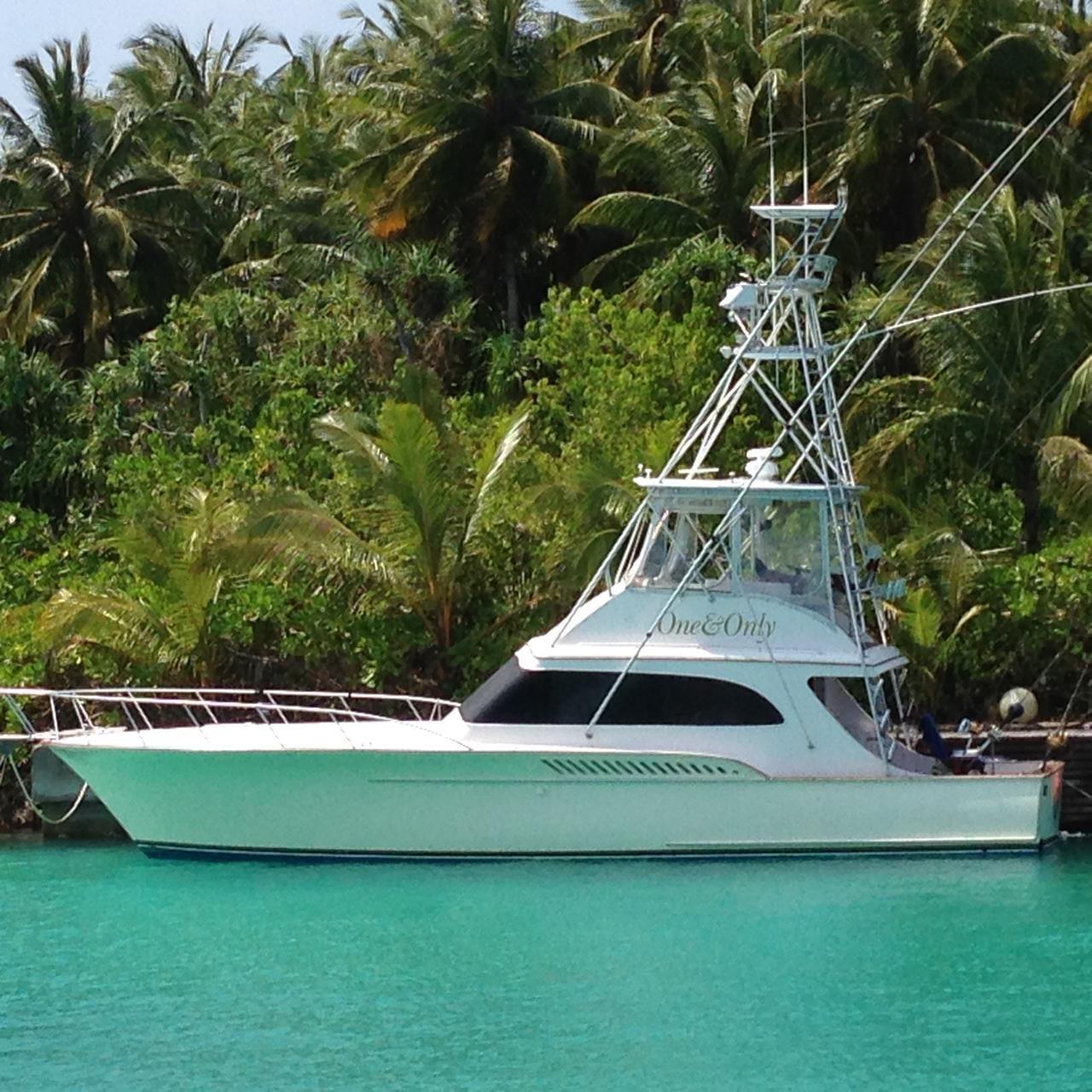 1990 Buddy Davis 47 SportFisherman Sport Fishing for sale - YachtWorld