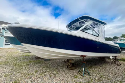Edgewater 262 CX