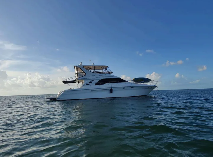 Wade N Winda Yacht Photos Pics 1999 Sea Ray 560 Sedan Bridge yacht on calm ocean waters under a clear blue sky.