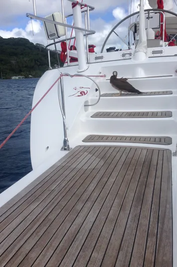 Josefina Yacht Photos Pics Nautor Swan 86 yacht deck with bird, 1989 model, ocean and island backdrop.