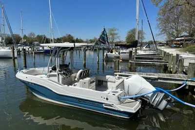 Finseeker 230cc