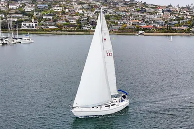 Catalina 34