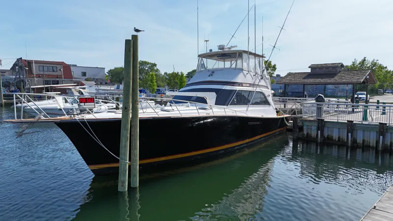 Got One Yacht Photos Pics 