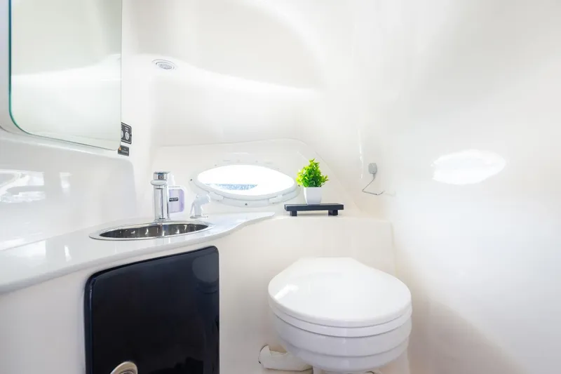  Yacht Photos Pics Modern bathroom in 2026 Hanover 305 model, featuring sleek design and compact fixtures.