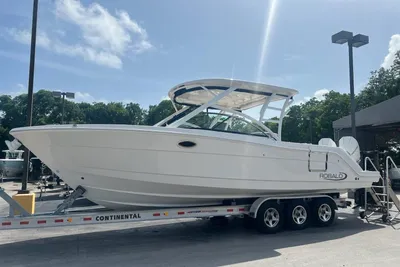 Robalo R317