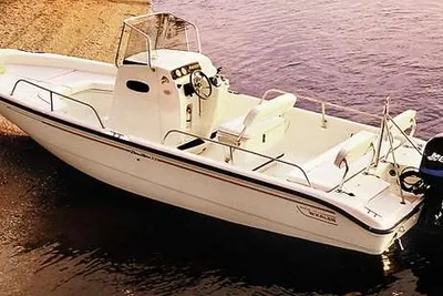 2001 Boston Whaler 22 Dauntless