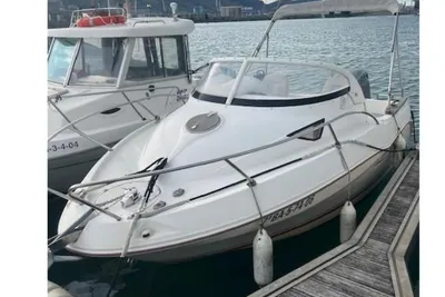 2006 Quicksilver 540