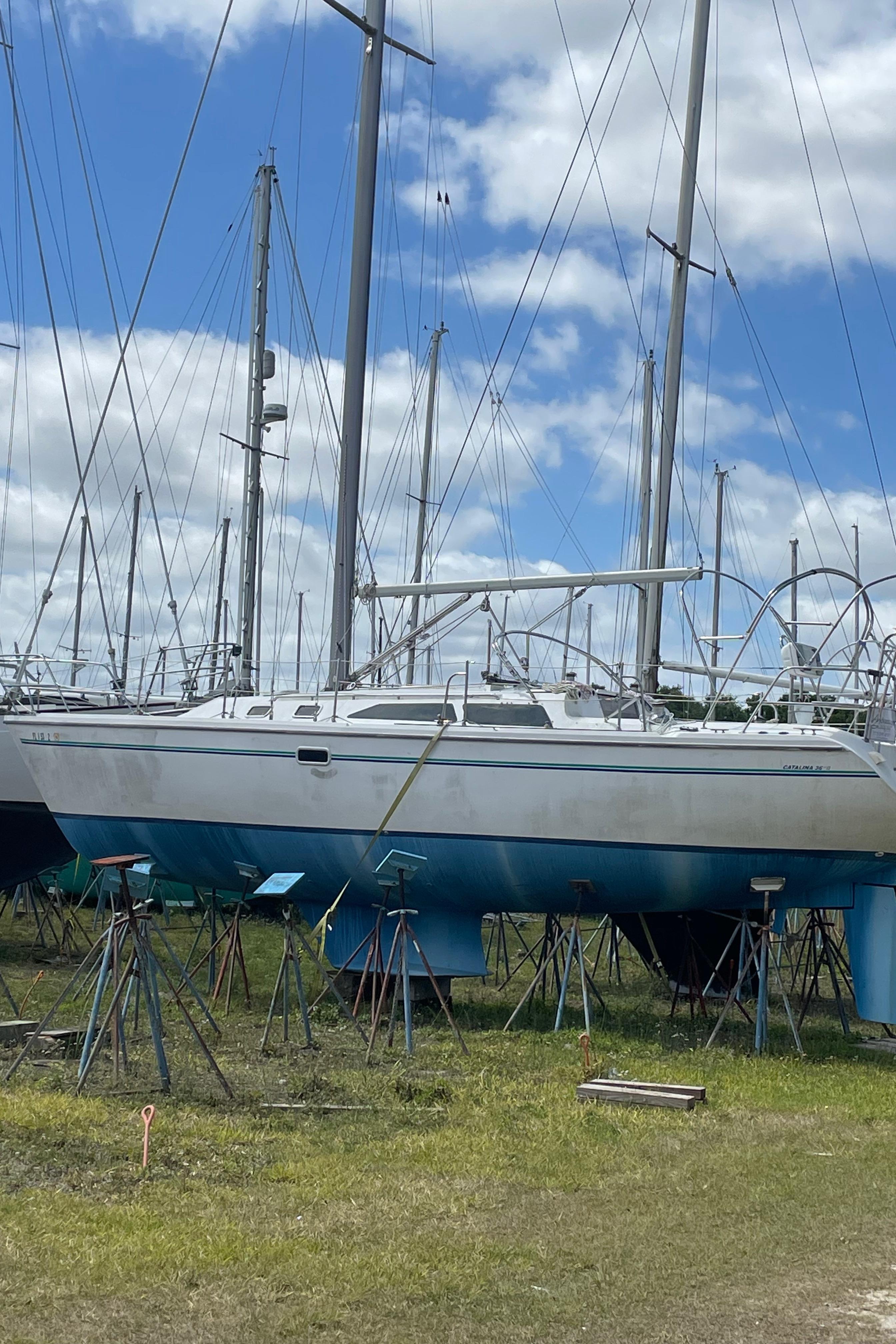 1996 Catalina Mk Ii Segelyacht Kaufen YachtWorld