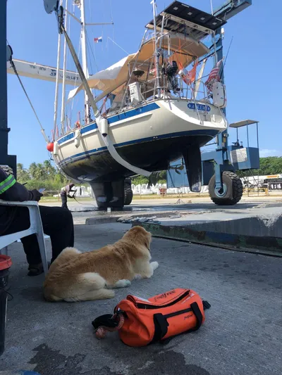 Alkemi Yacht Photos Pics 