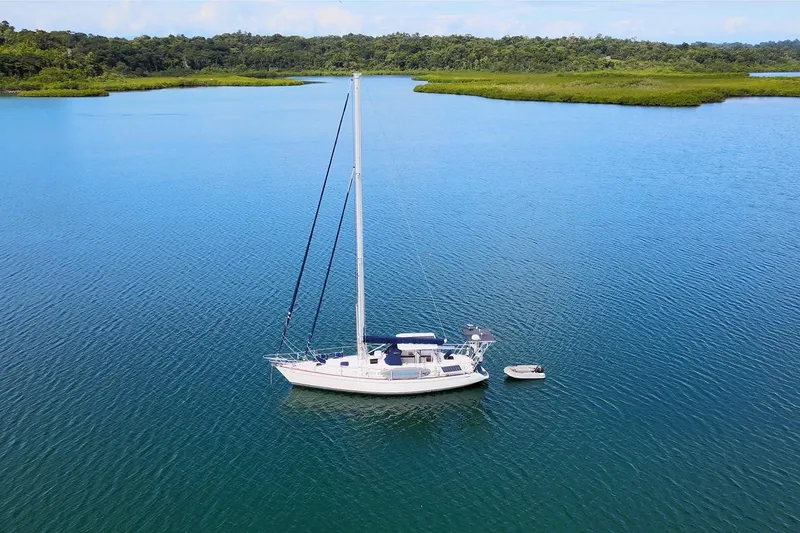 Oleta Yacht Photos Pics Sailboat Tayana 48 (2005) anchored in serene blue waters near lush green shoreline.