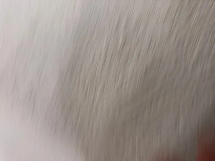 Ronda-vue Yacht Photos Pics 