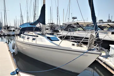 Catalina 36