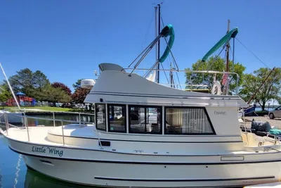 Camano 31