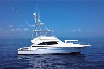 Bertram 510 Convertible
