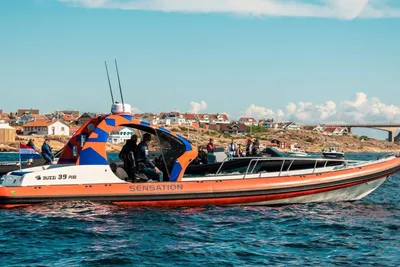 2010 FB Design BUZZI 39 RIB
