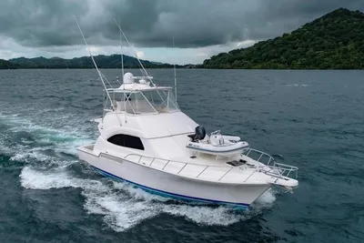 Bertram 510