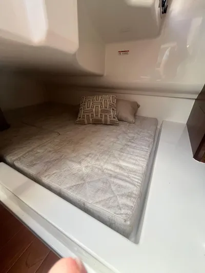  Yacht Photos Pics 2022 Pursuit 365 Dc - Image 18