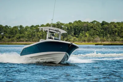 Edgewater 262CC