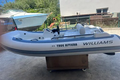 2024 Williams Jet Tenders Sportjet 345