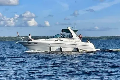 Sea Ray Sundancer 310