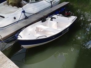 2009 Viksund With 320