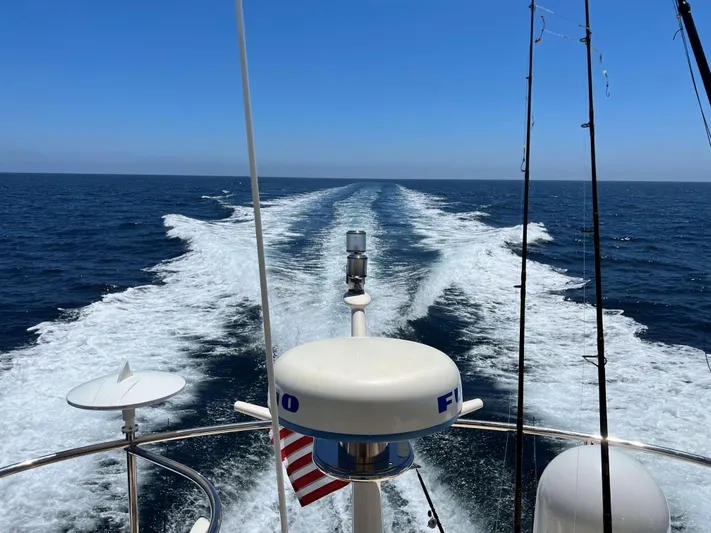 Delfino Yacht Photos Pics 