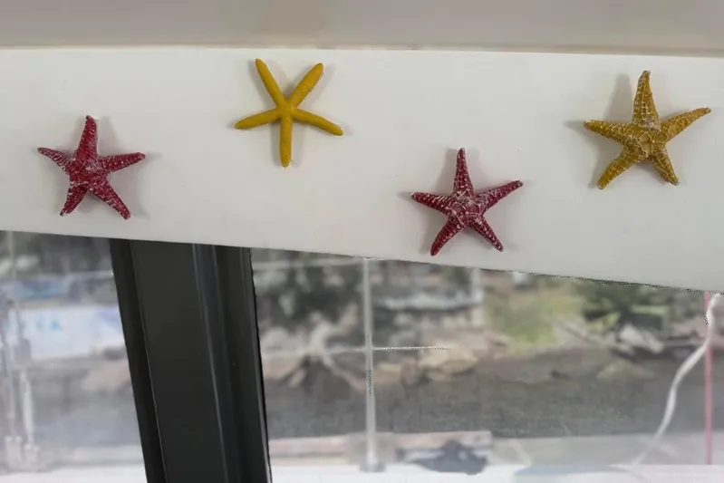 Sweet 2 Bad Yacht Photos Pics Colorful starfish decorations on a Leopard 404 boat interior, 2016 model.