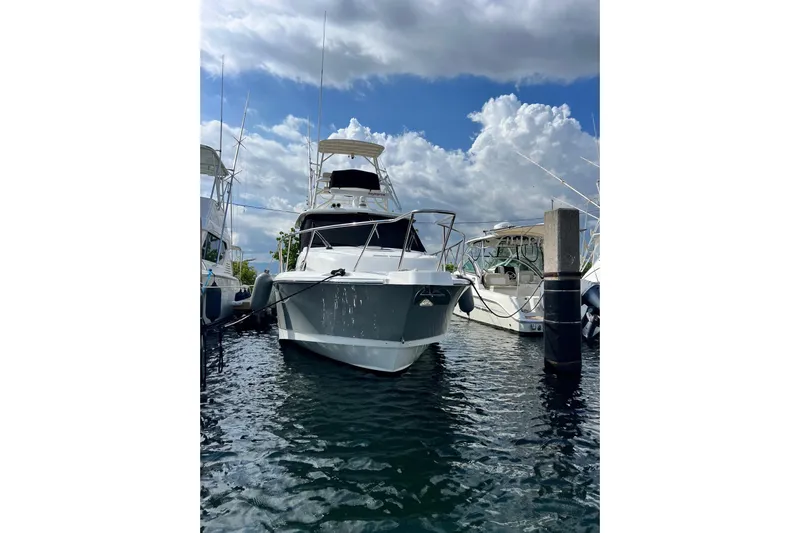  Yacht Photos Pics 2018 Boston Whaler 345 Conquest docked under a cloudy sky.