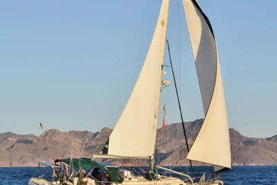 Island Packet 350