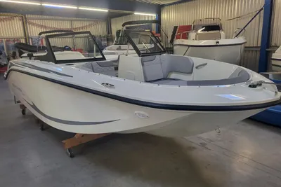 2024 Bayliner M17