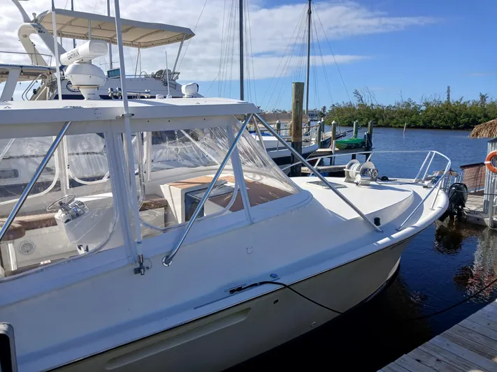 Freedom II Yacht Photos Pics 