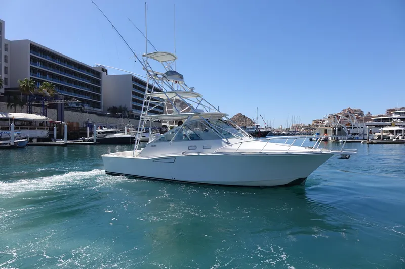 Showtime Yacht Photos Pics 