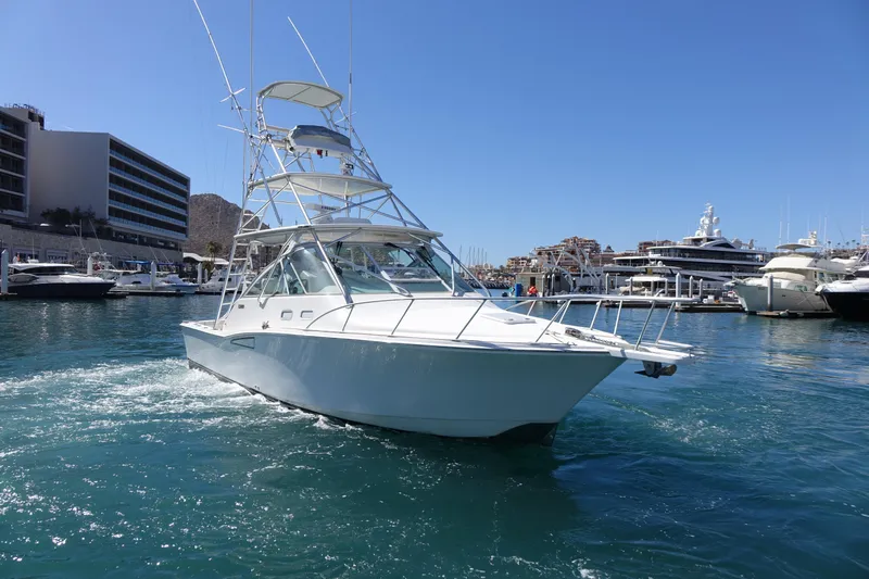 Showtime Yacht Photos Pics 