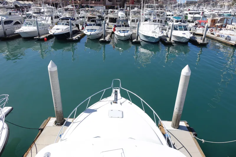 Showtime Yacht Photos Pics 