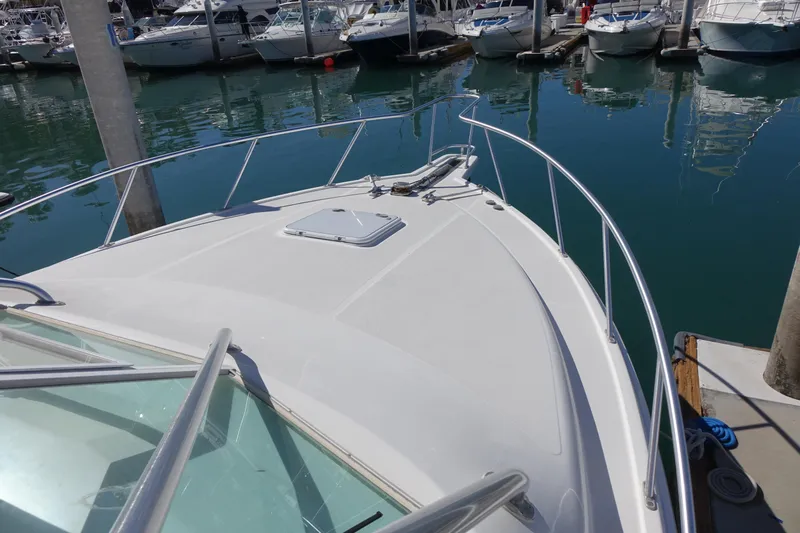 Showtime Yacht Photos Pics 