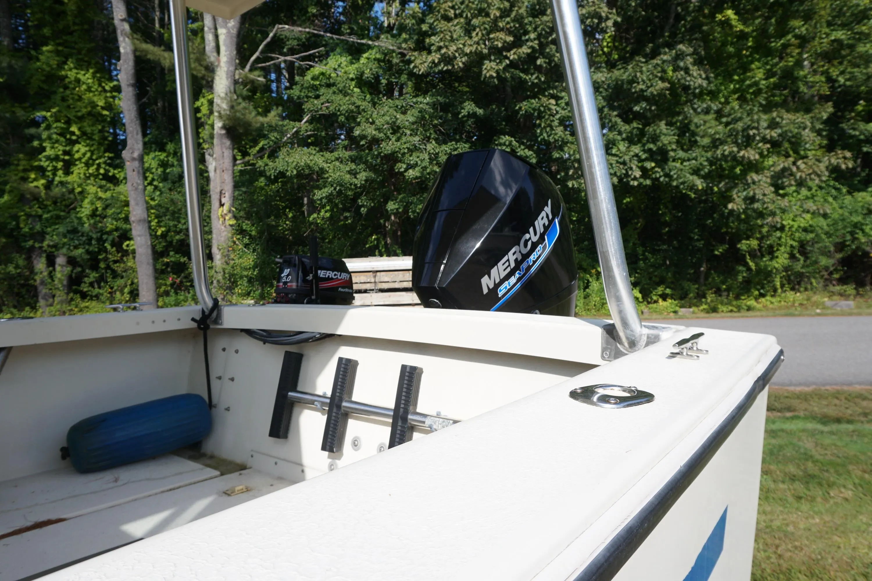 2002 Rosborough RF-246 Sedan Cruiser with Mercury outboard motor, docked near lush greenery.