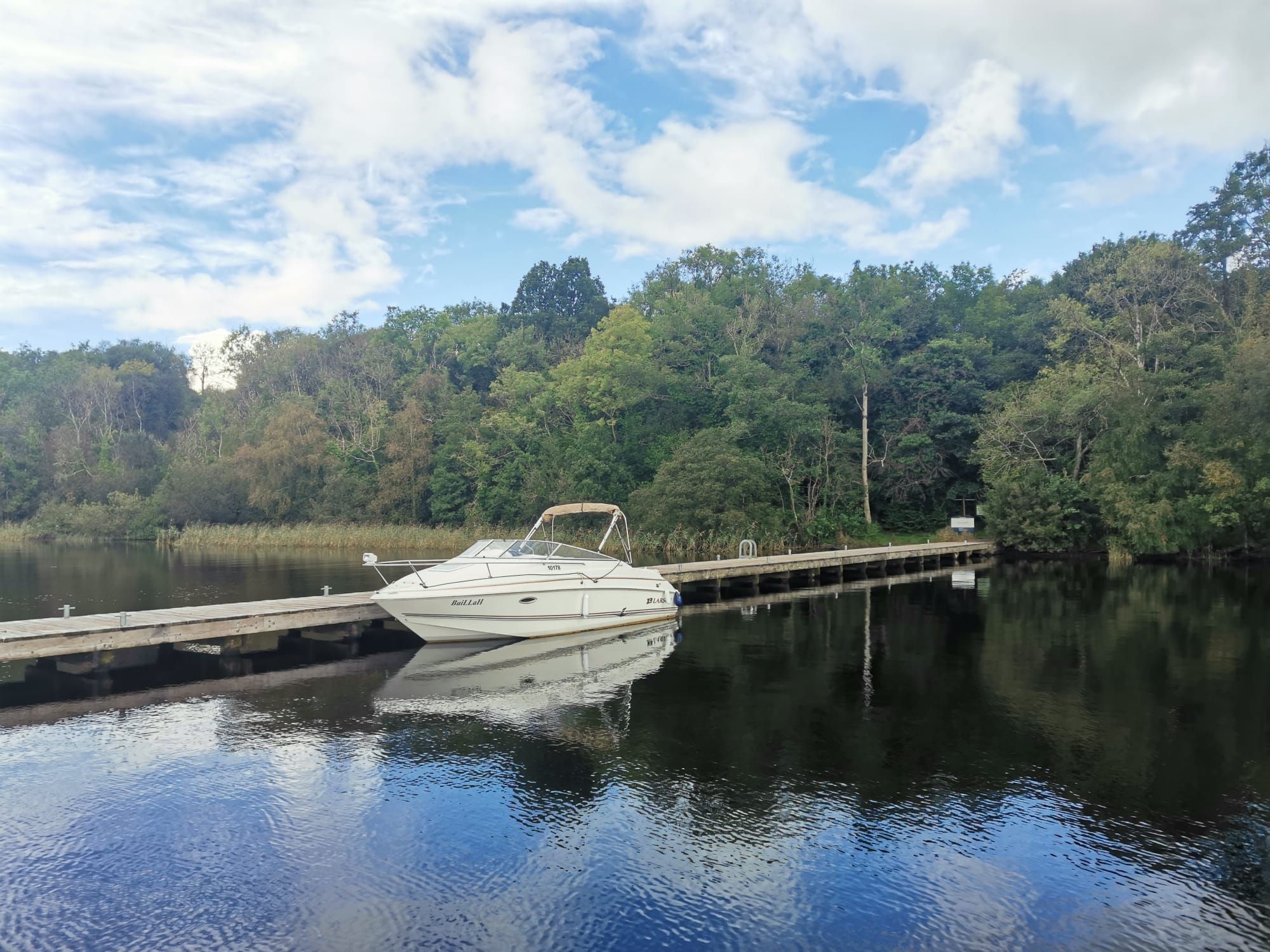 2004 Larson Carbrio 220