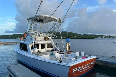 Bertram 31