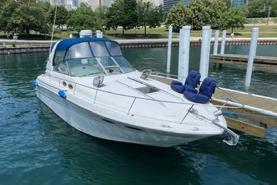 Sea Ray 310 Sundancer