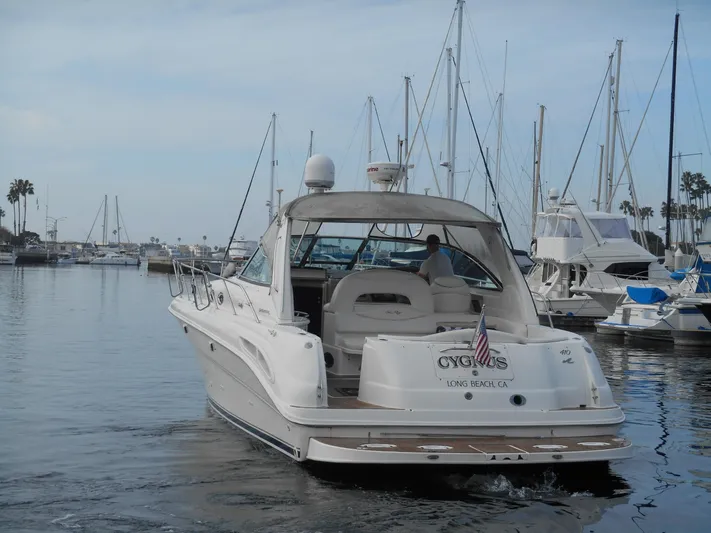 Cygnus Yacht Photos Pics Sea Ray Sundancer 410 yacht, 2000 model, docked in a marina with sailboats.